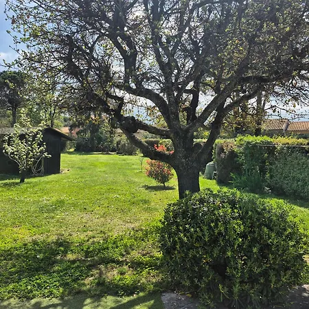 Climatisee Avec Belle Terrasse Et Jardin A - Fr-1-776-133 Villa *