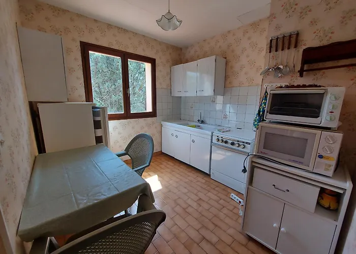 Villa Climatisee Avec Piscine Privee Et Animaux Acceptes - Fr-1-776-133 *