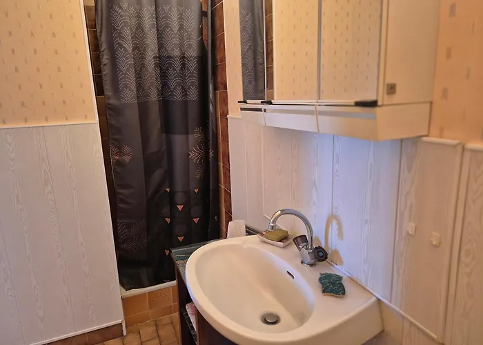 Βίλα Climatisee Avec Piscine Privee Et Animaux Acceptes - Fr-1-776-133