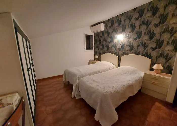 Climatisee Avec Piscine Privee Et Animaux Acceptes - Fr-1-776-133 *