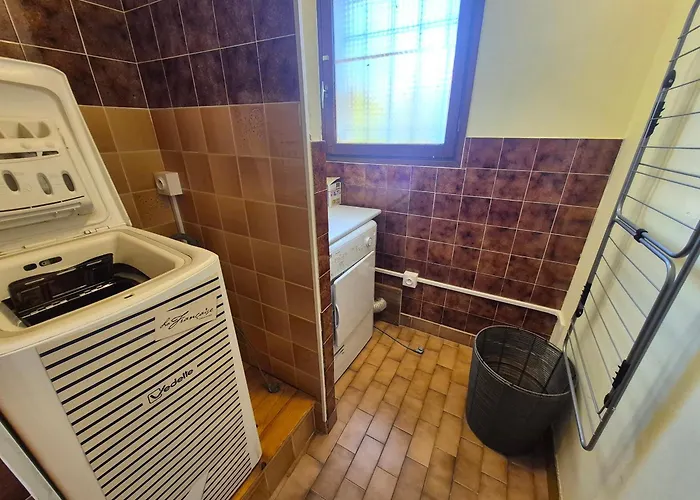 Climatisee Avec Piscine Privee Et Animaux Acceptes - Fr-1-776-133 *