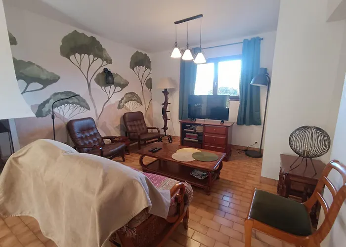 Villa Climatisee Avec Piscine Privee Et Animaux Acceptes - Fr-1-776-133